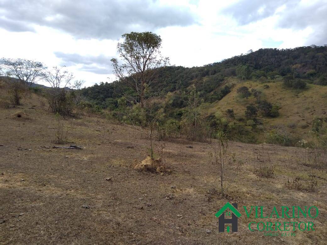 Fazenda à venda com 3 quartos, 46m² - Foto 11