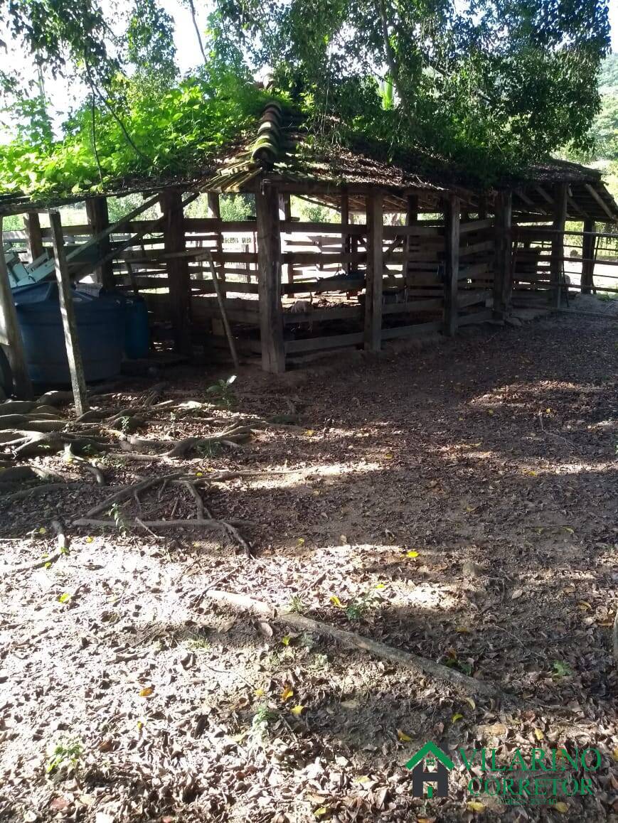 Fazenda à venda com 4 quartos, 400m² - Foto 14