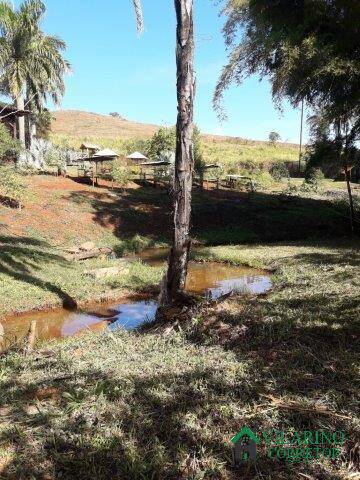 Fazenda à venda com 3 quartos, 700m² - Foto 8