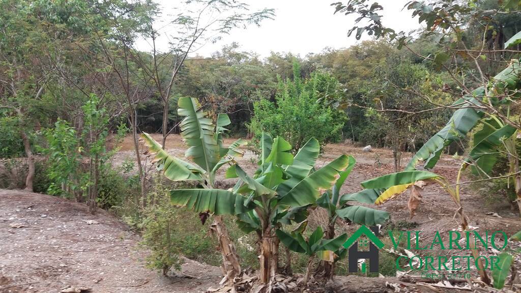 Fazenda à venda com 3 quartos, 250m² - Foto 1