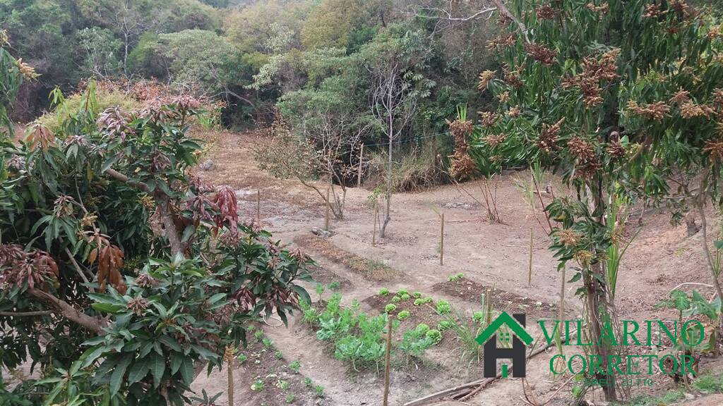 Fazenda à venda com 3 quartos, 250m² - Foto 18