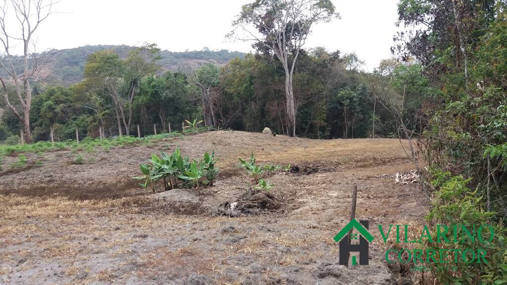 Fazenda à venda com 3 quartos, 250m² - Foto 19