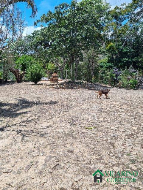 Fazenda à venda com 2 quartos, 150m² - Foto 19