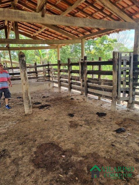 Fazenda à venda com 2 quartos, 150m² - Foto 27