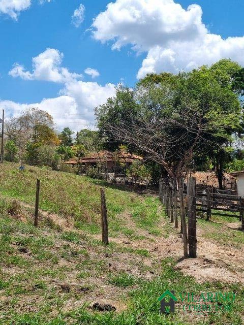 Fazenda à venda com 2 quartos, 150m² - Foto 31