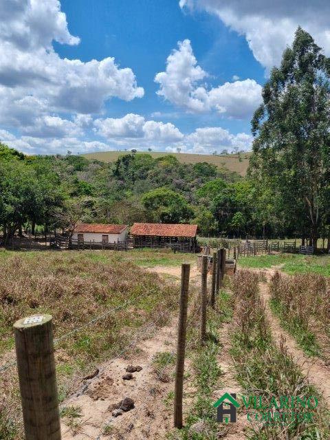 Fazenda à venda com 2 quartos, 150m² - Foto 33