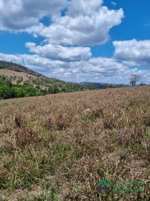 Fazenda à venda com 2 quartos, 150m² - Foto 34