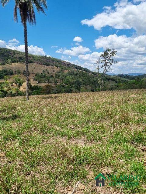 Fazenda à venda com 2 quartos, 150m² - Foto 40