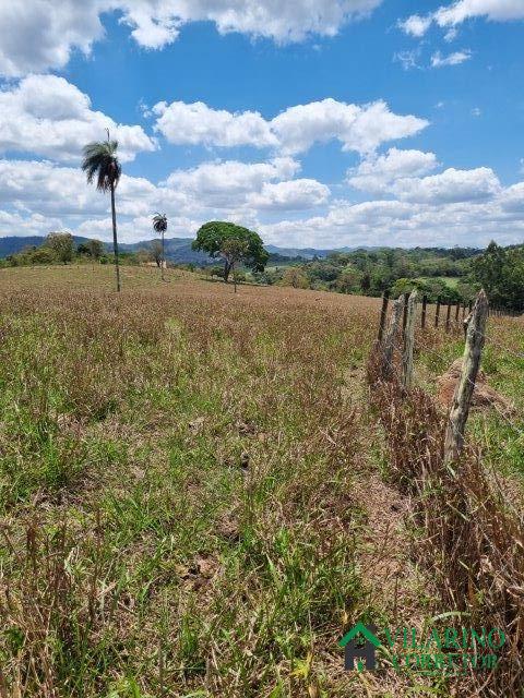 Fazenda à venda com 2 quartos, 150m² - Foto 38