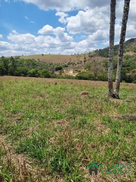 Fazenda à venda com 2 quartos, 150m² - Foto 39