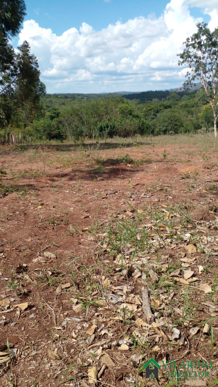 Fazenda à venda, 220000m² - Foto 4