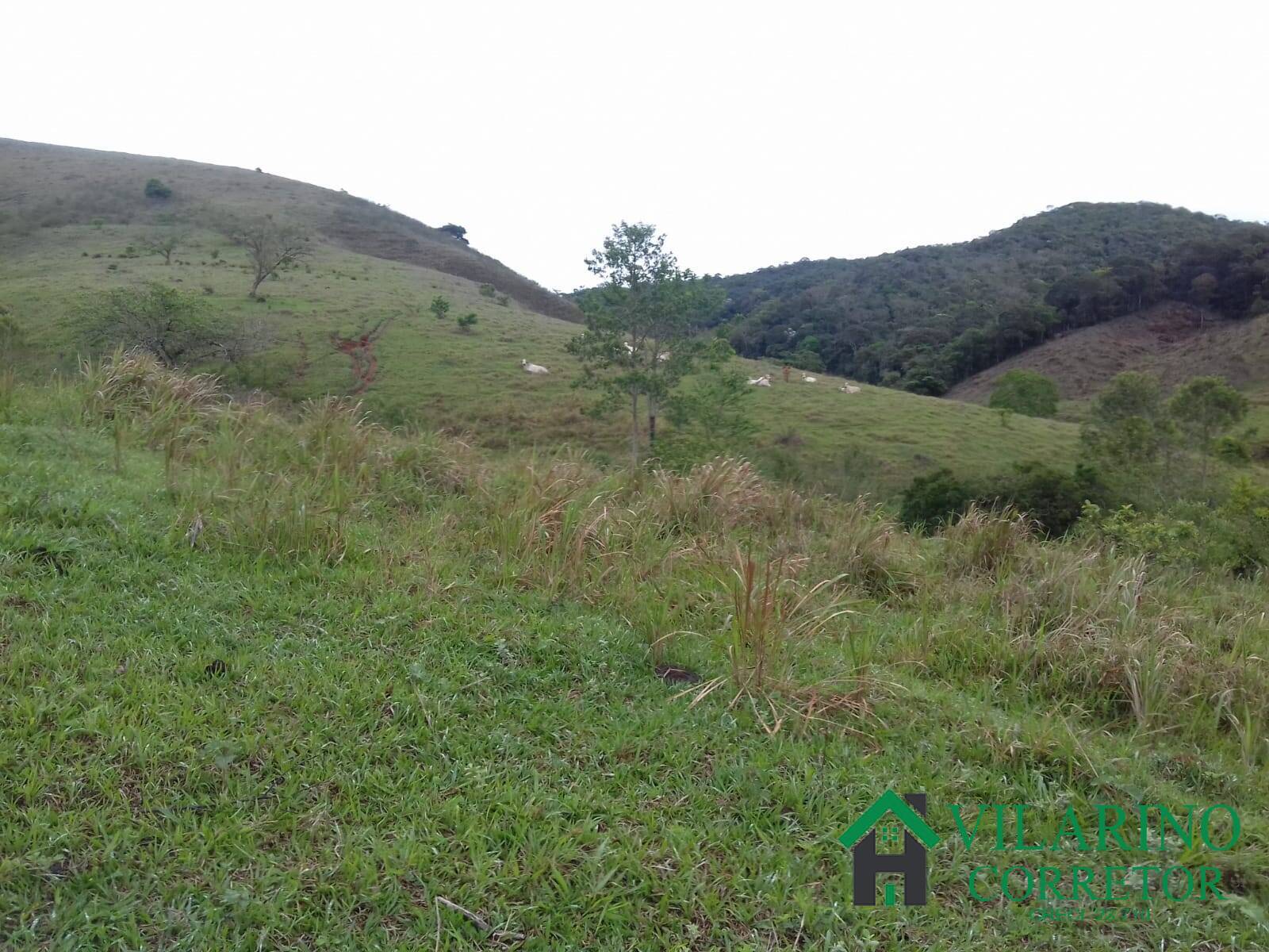 Fazenda à venda com 3 quartos, 300m² - Foto 6