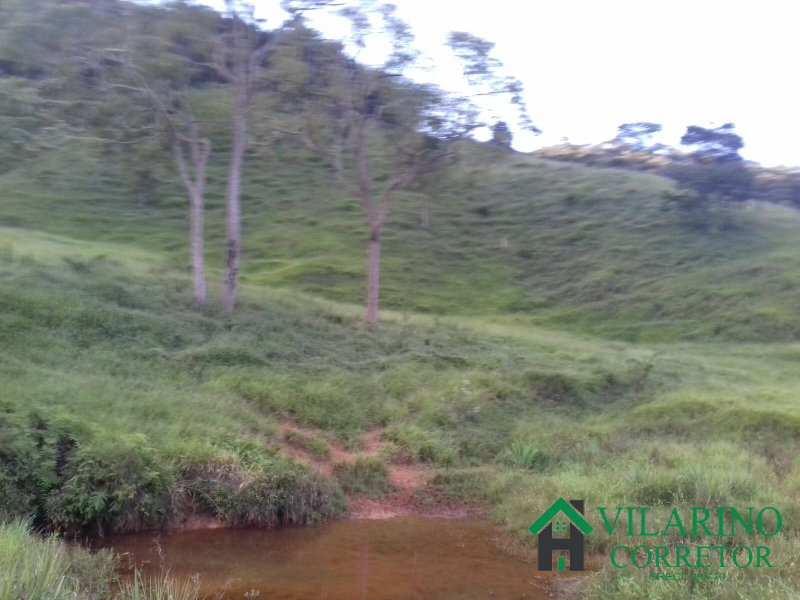 Fazenda à venda com 3 quartos, 300m² - Foto 10