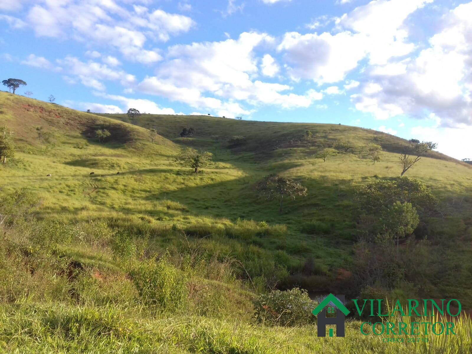 Fazenda à venda com 3 quartos, 300m² - Foto 13