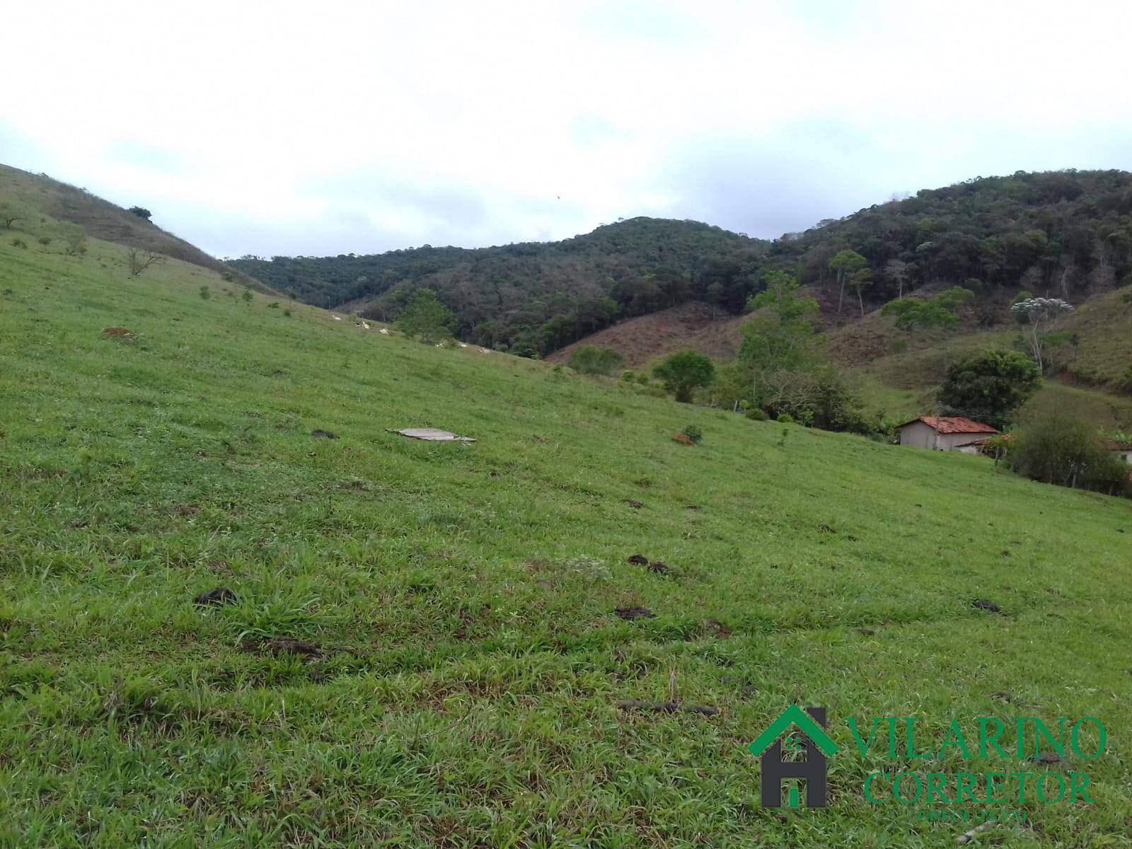 Fazenda à venda com 3 quartos, 300m² - Foto 22