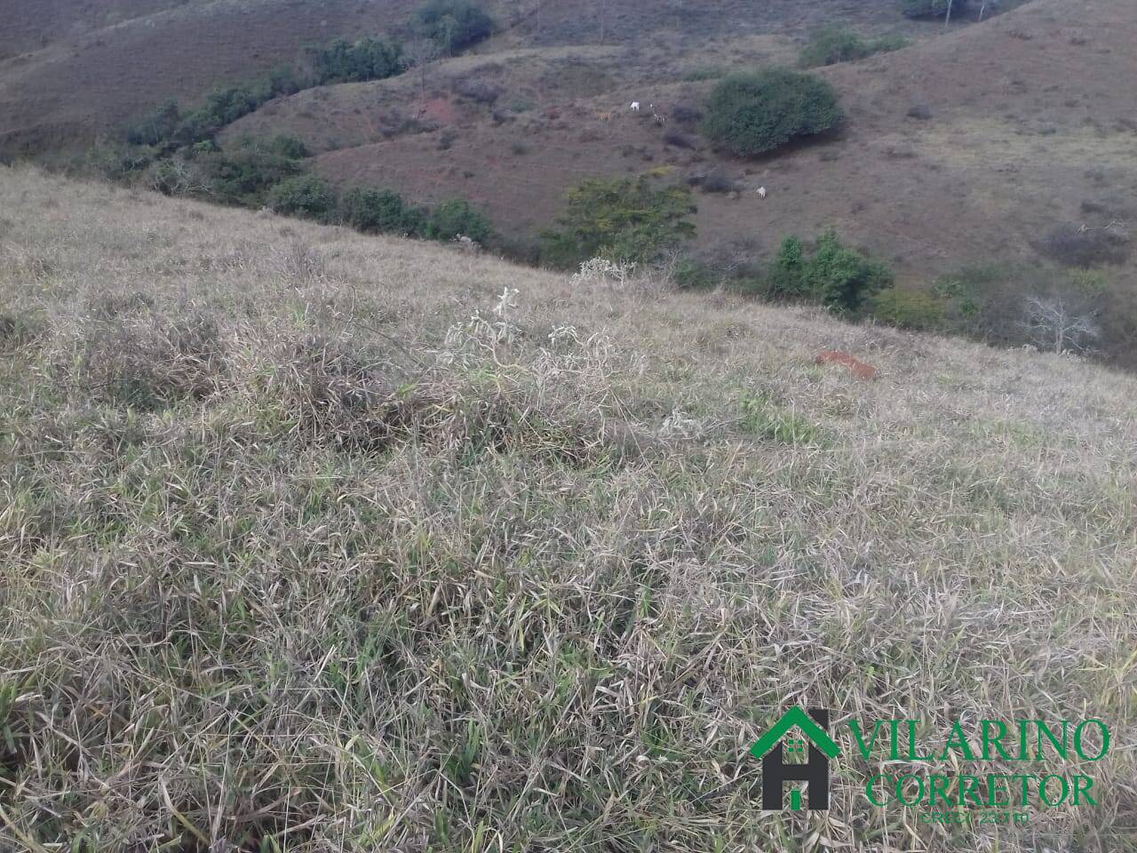 Fazenda à venda com 3 quartos, 300m² - Foto 27