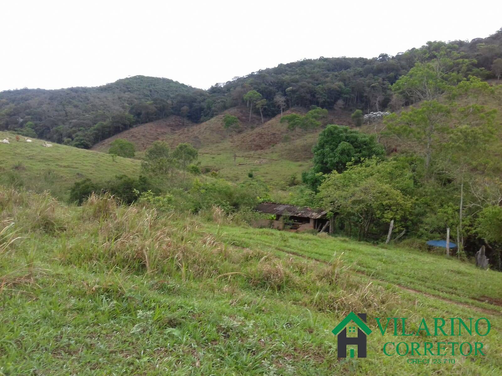 Fazenda à venda com 3 quartos, 300m² - Foto 26