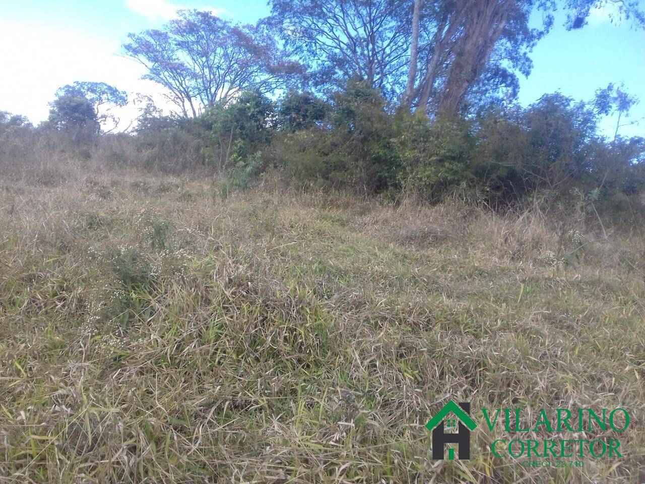 Fazenda à venda com 3 quartos, 300m² - Foto 29