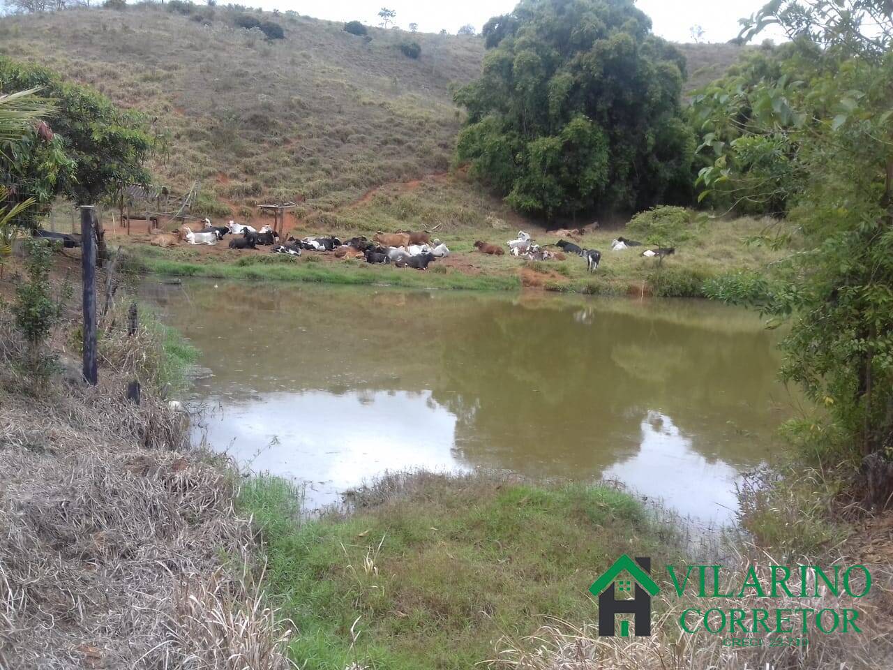 Fazenda à venda com 3 quartos, 300m² - Foto 33