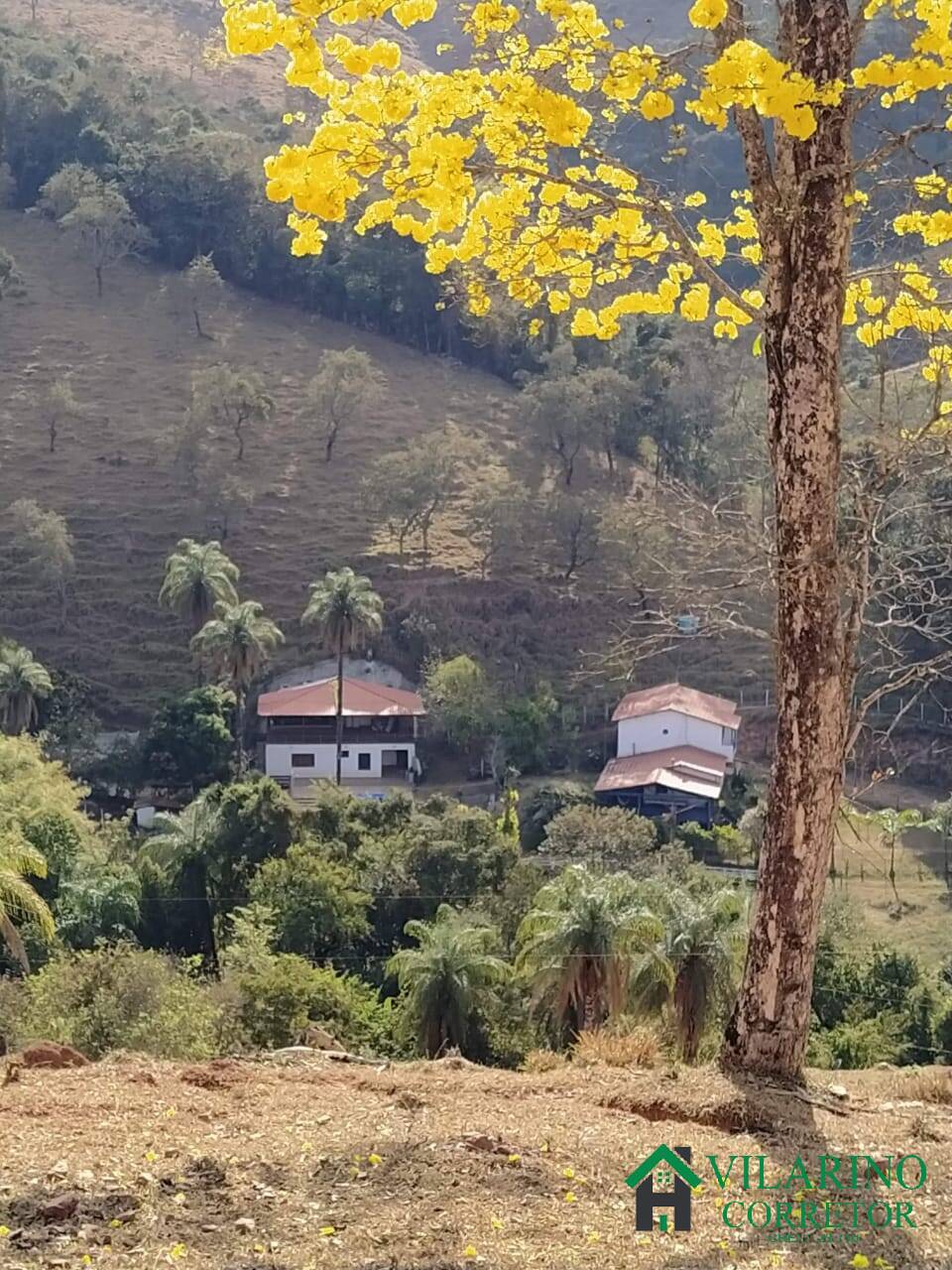 Fazenda à venda com 6 quartos, 400m² - Foto 11