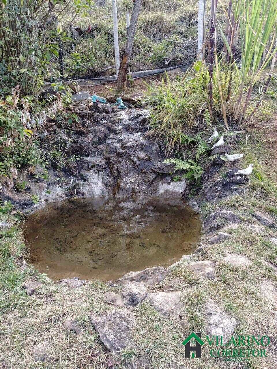 Fazenda à venda com 6 quartos, 400m² - Foto 24