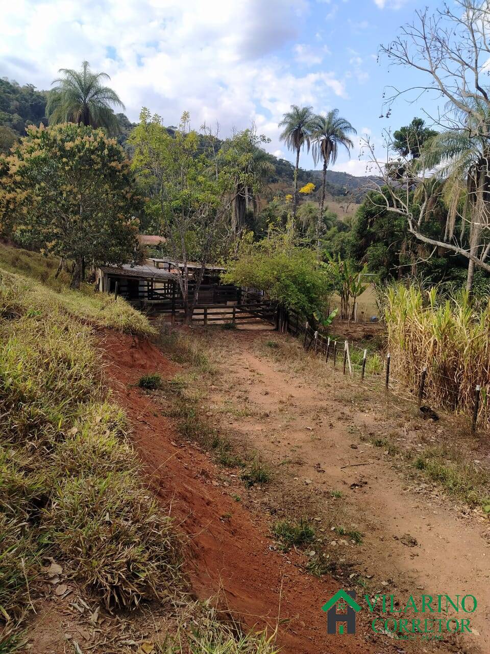 Fazenda à venda com 6 quartos, 400m² - Foto 34