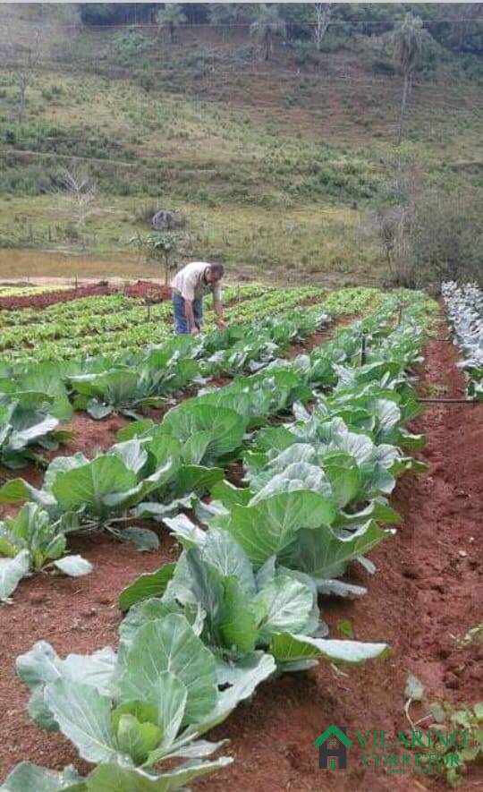 Fazenda à venda com 2 quartos, 150m² - Foto 4