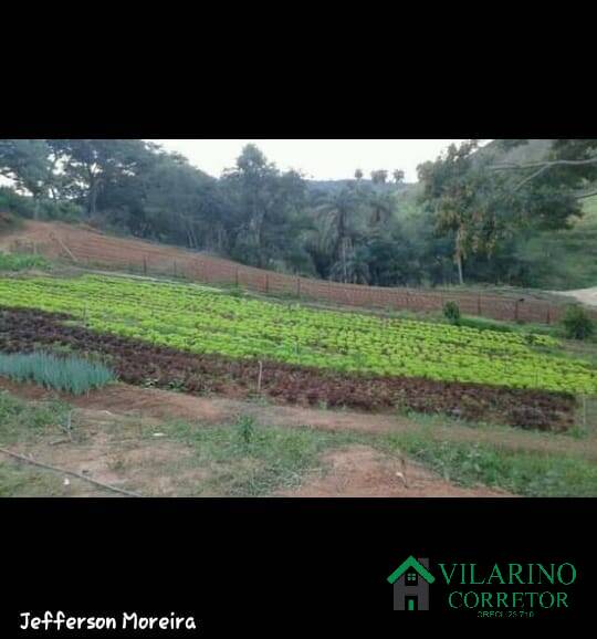 Fazenda à venda com 2 quartos, 150m² - Foto 8