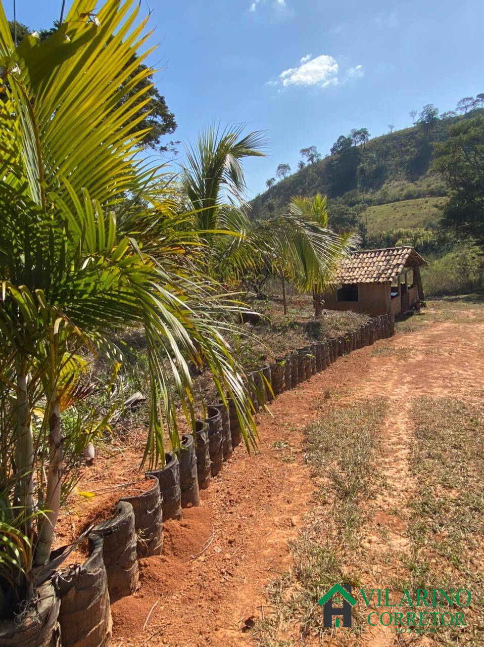 Fazenda à venda com 2 quartos, 150m² - Foto 10