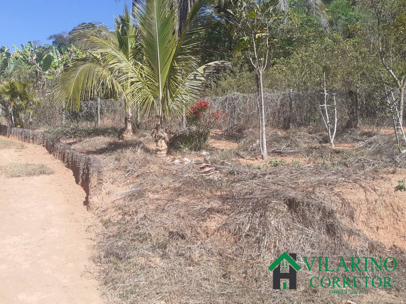 Fazenda à venda com 2 quartos, 150m² - Foto 12