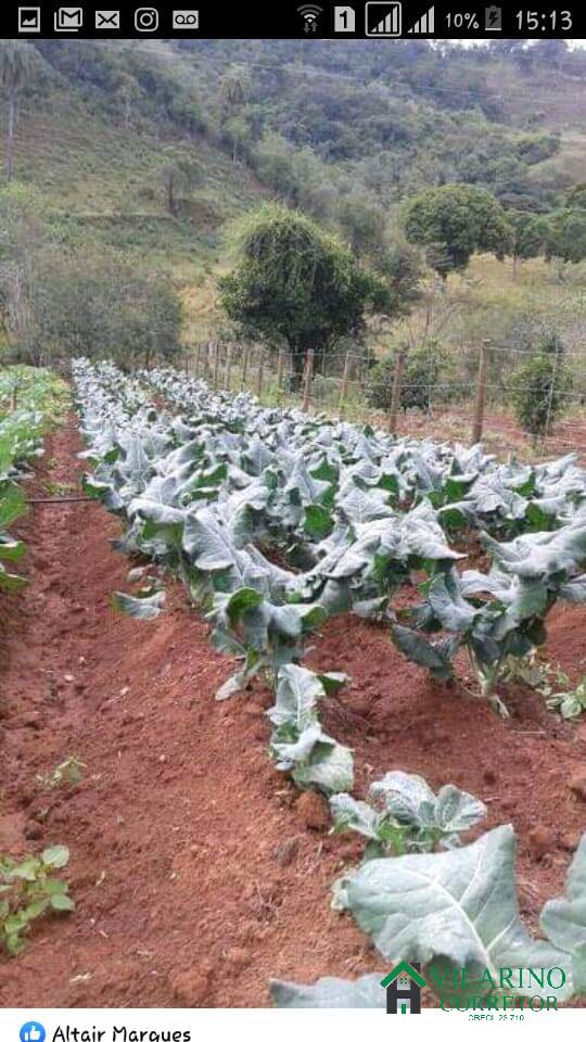 Fazenda à venda com 2 quartos, 150m² - Foto 1