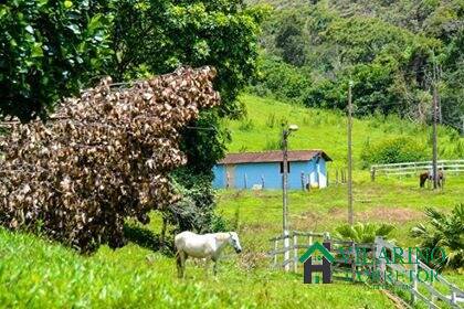 Fazenda à venda com 7 quartos, 94m² - Foto 21