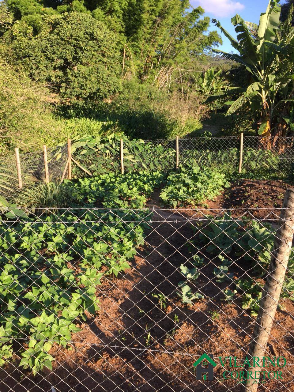 Fazenda à venda com 2 quartos, 24m² - Foto 8