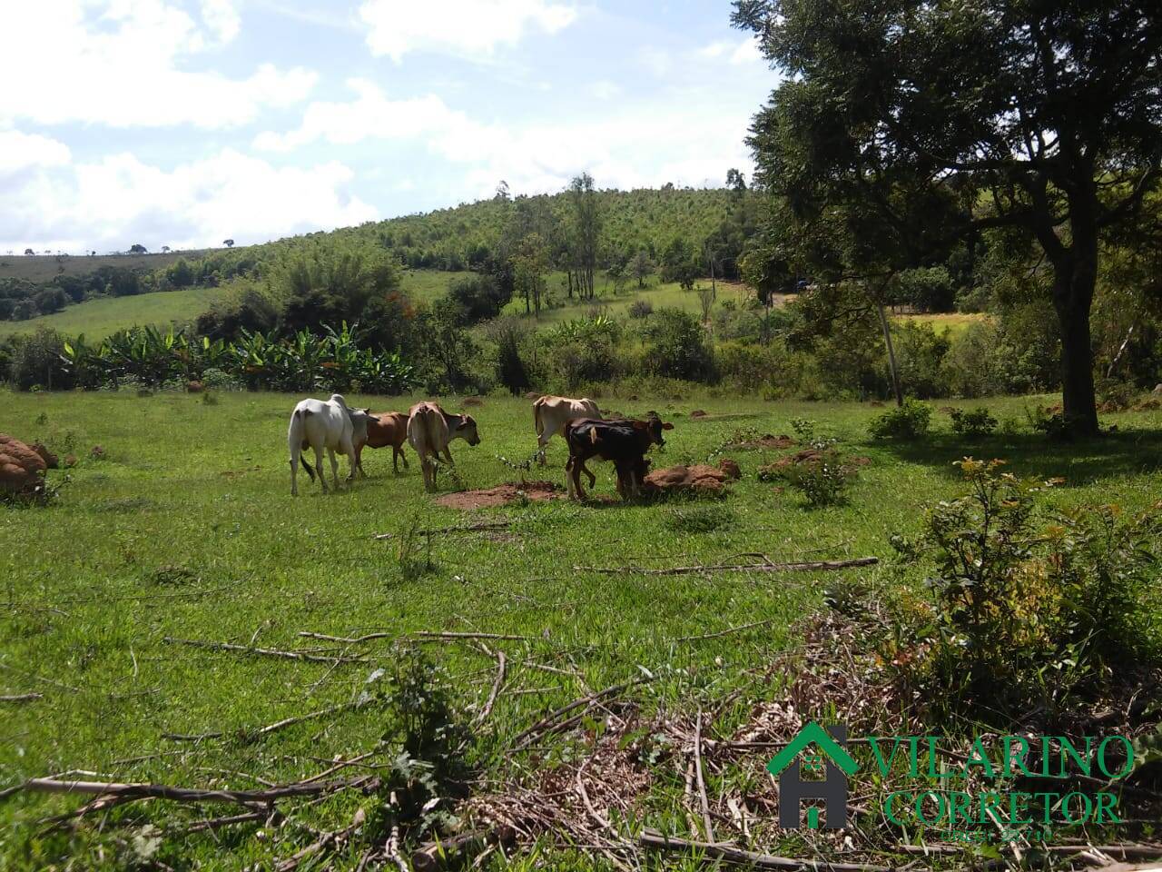 Terreno à venda, 72m² - Foto 8