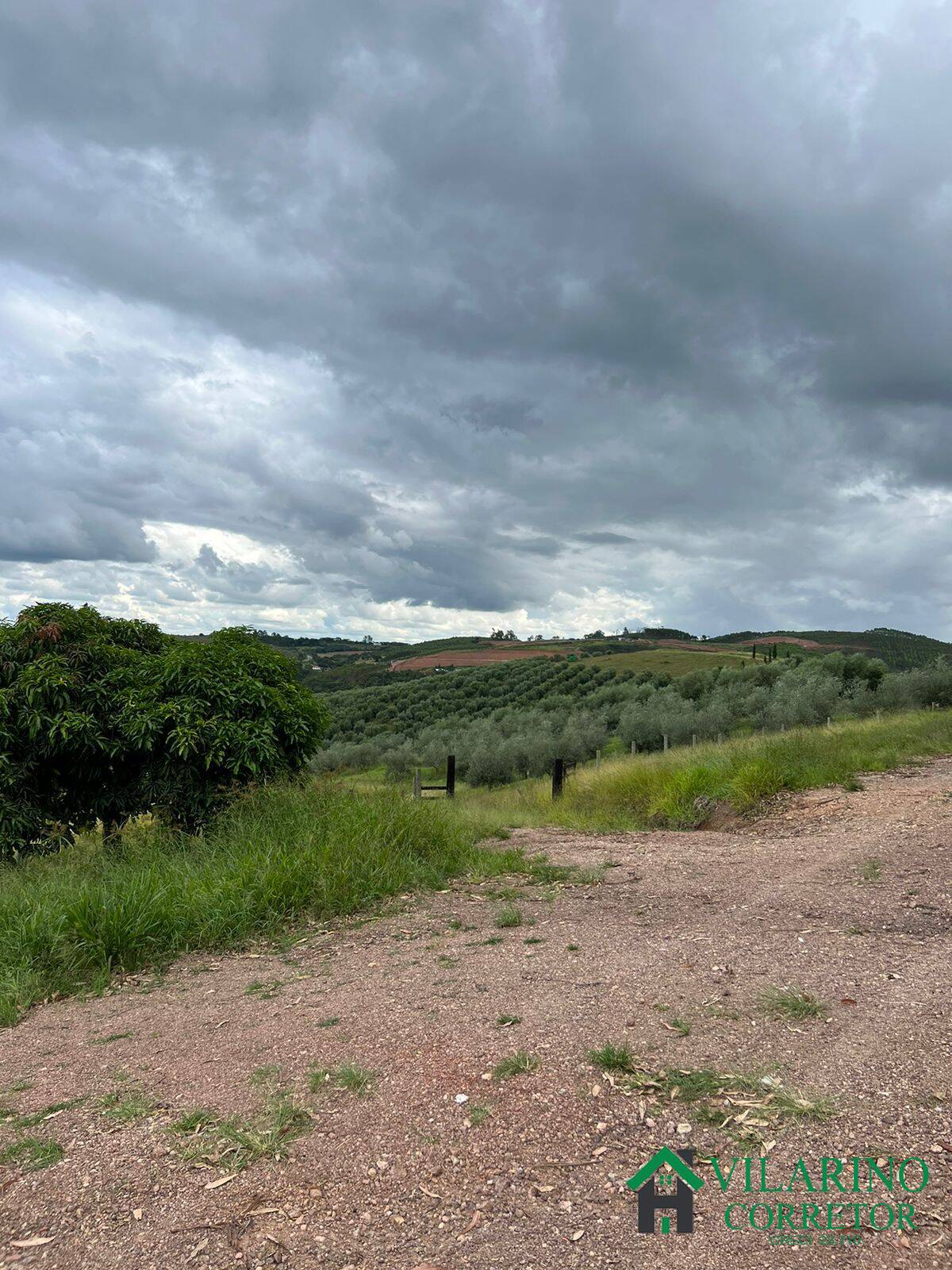 Fazenda à venda com 2 quartos, 1000m² - Foto 15