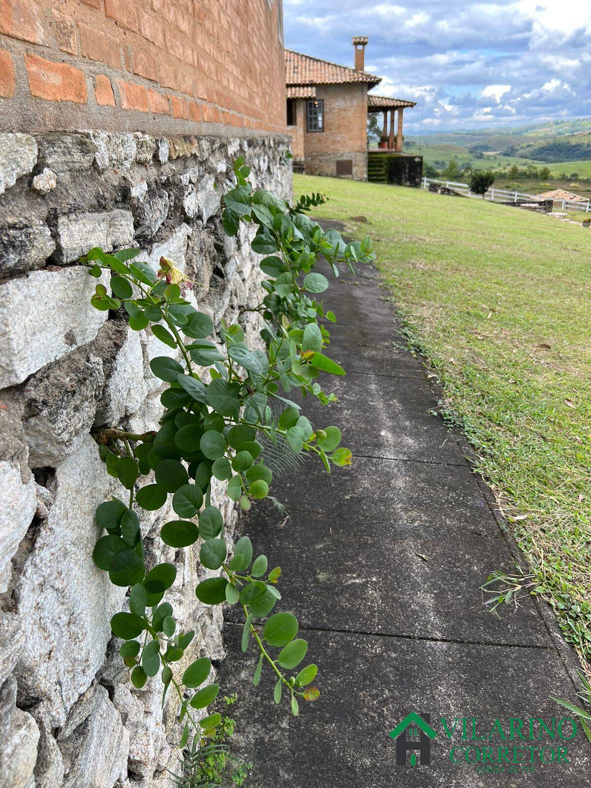 Fazenda à venda com 2 quartos, 1000m² - Foto 5