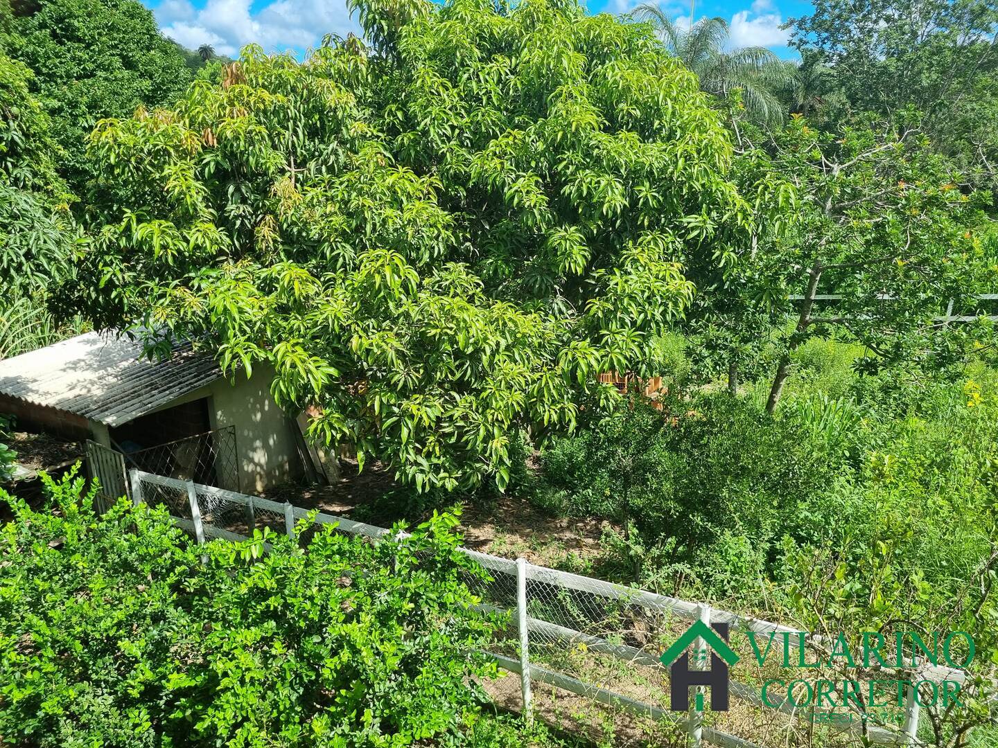 Fazenda à venda com 3 quartos, 140m² - Foto 17