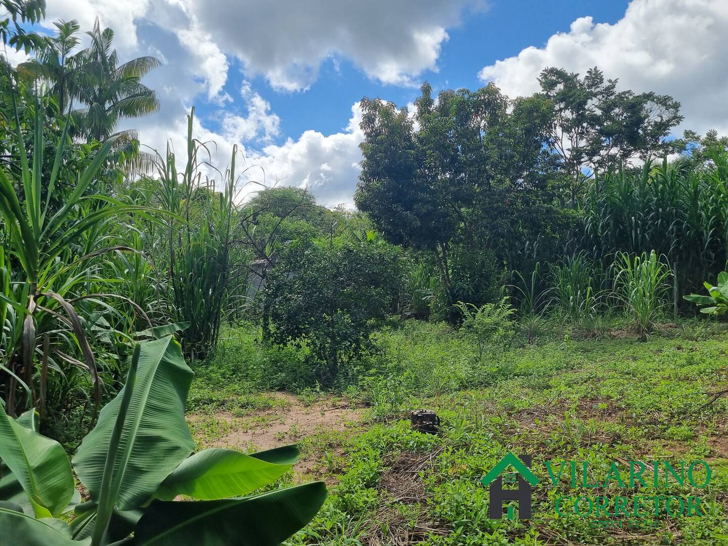 Fazenda à venda com 3 quartos, 140m² - Foto 20