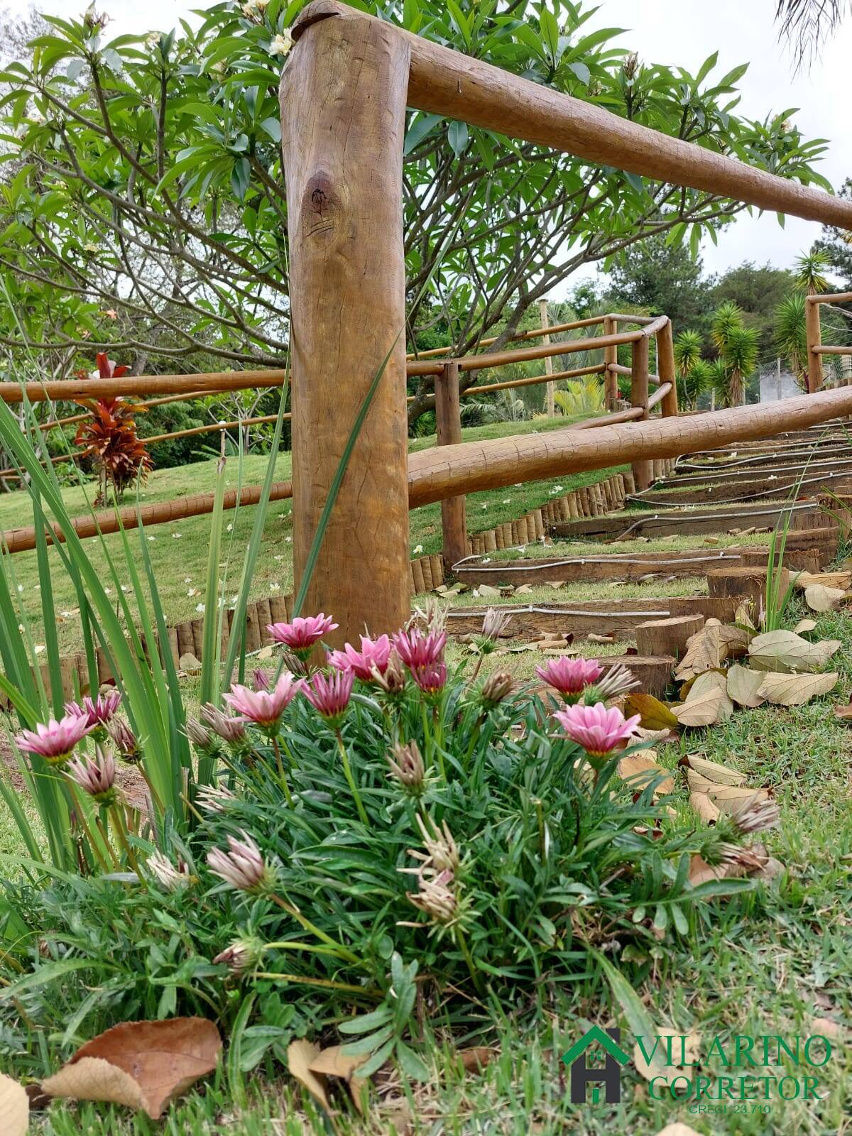 Fazenda à venda com 4 quartos, 240m² - Foto 19