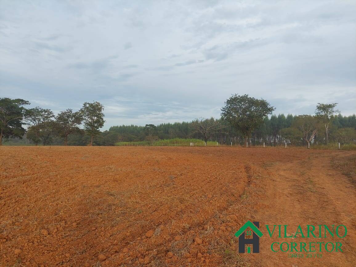 Fazenda à venda com 3 quartos, 800m² - Foto 92