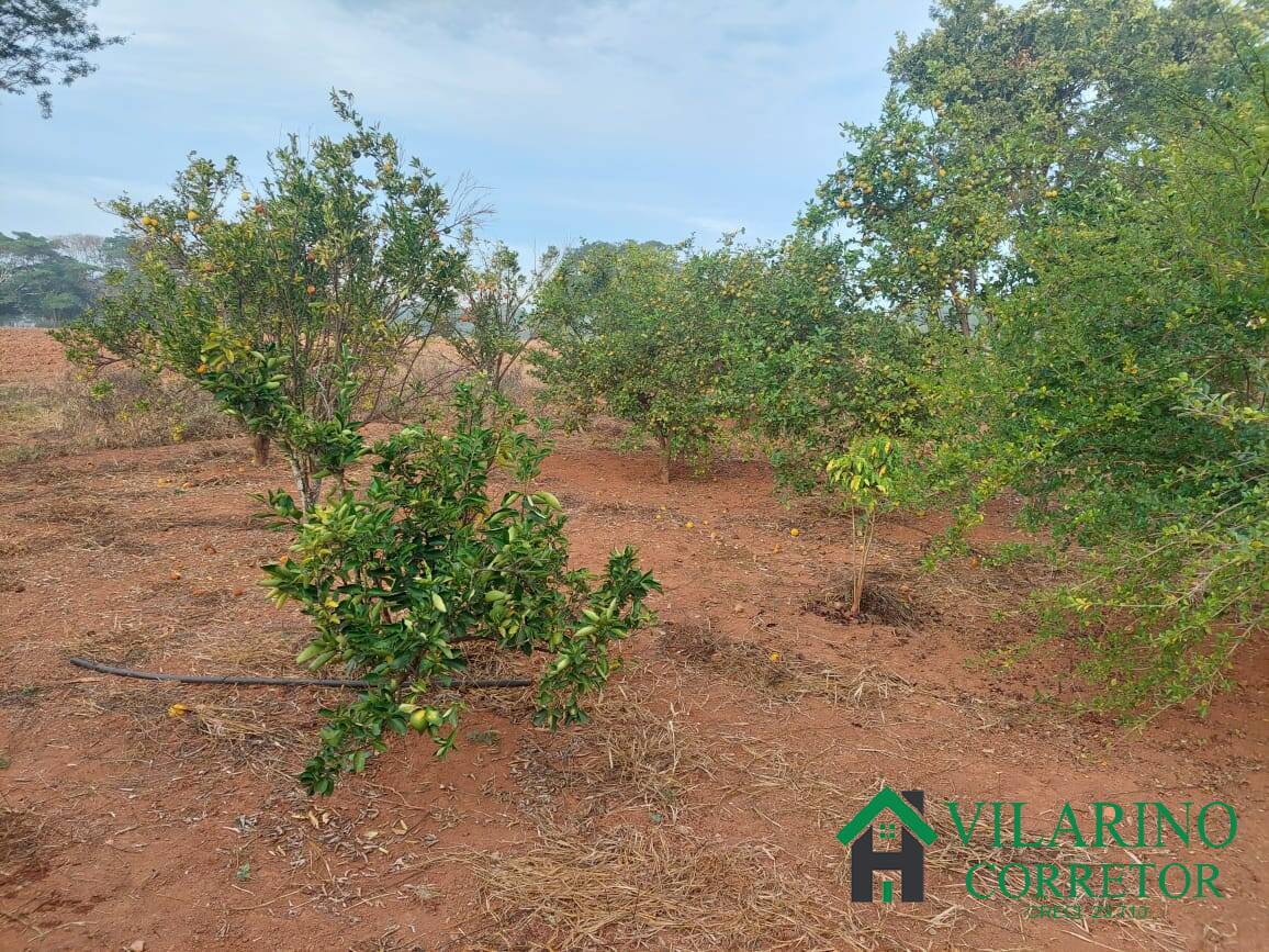 Fazenda à venda com 3 quartos, 800m² - Foto 96