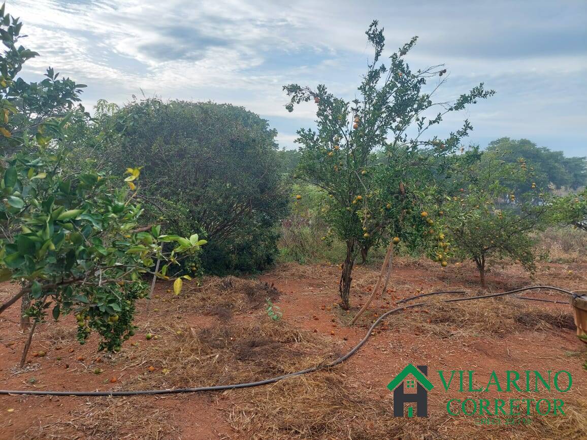 Fazenda à venda com 3 quartos, 800m² - Foto 97