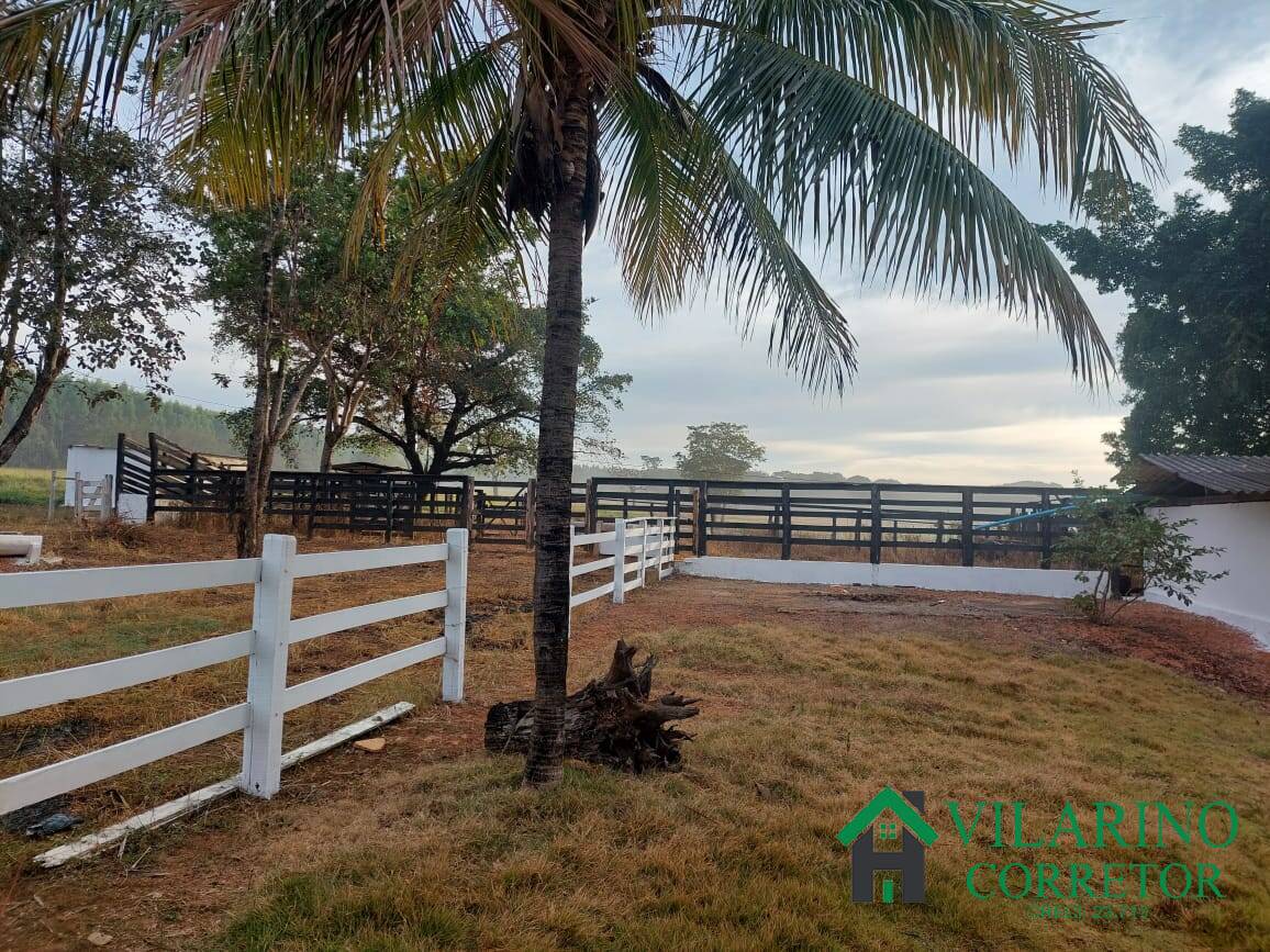 Fazenda à venda com 3 quartos, 800m² - Foto 106