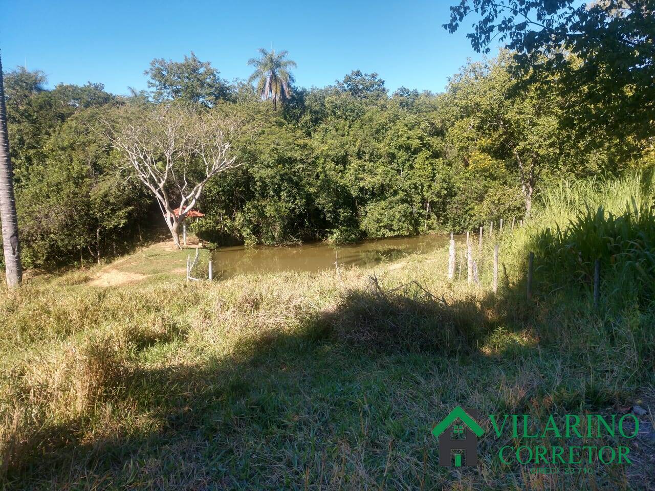 Fazenda à venda com 4 quartos, 13800m² - Foto 19