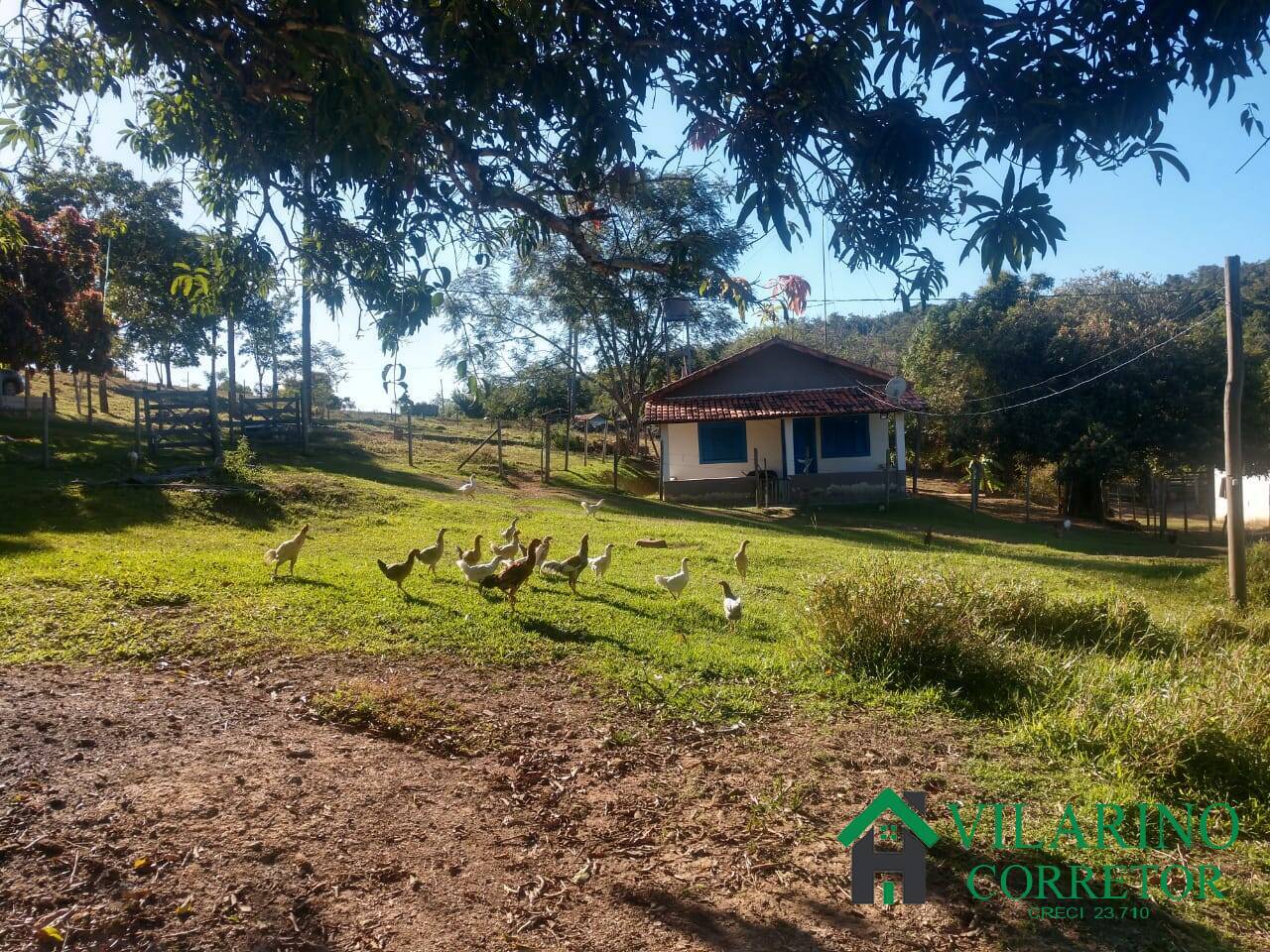 Fazenda à venda com 4 quartos, 13800m² - Foto 15