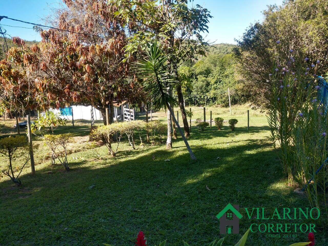 Fazenda à venda com 4 quartos, 13800m² - Foto 16