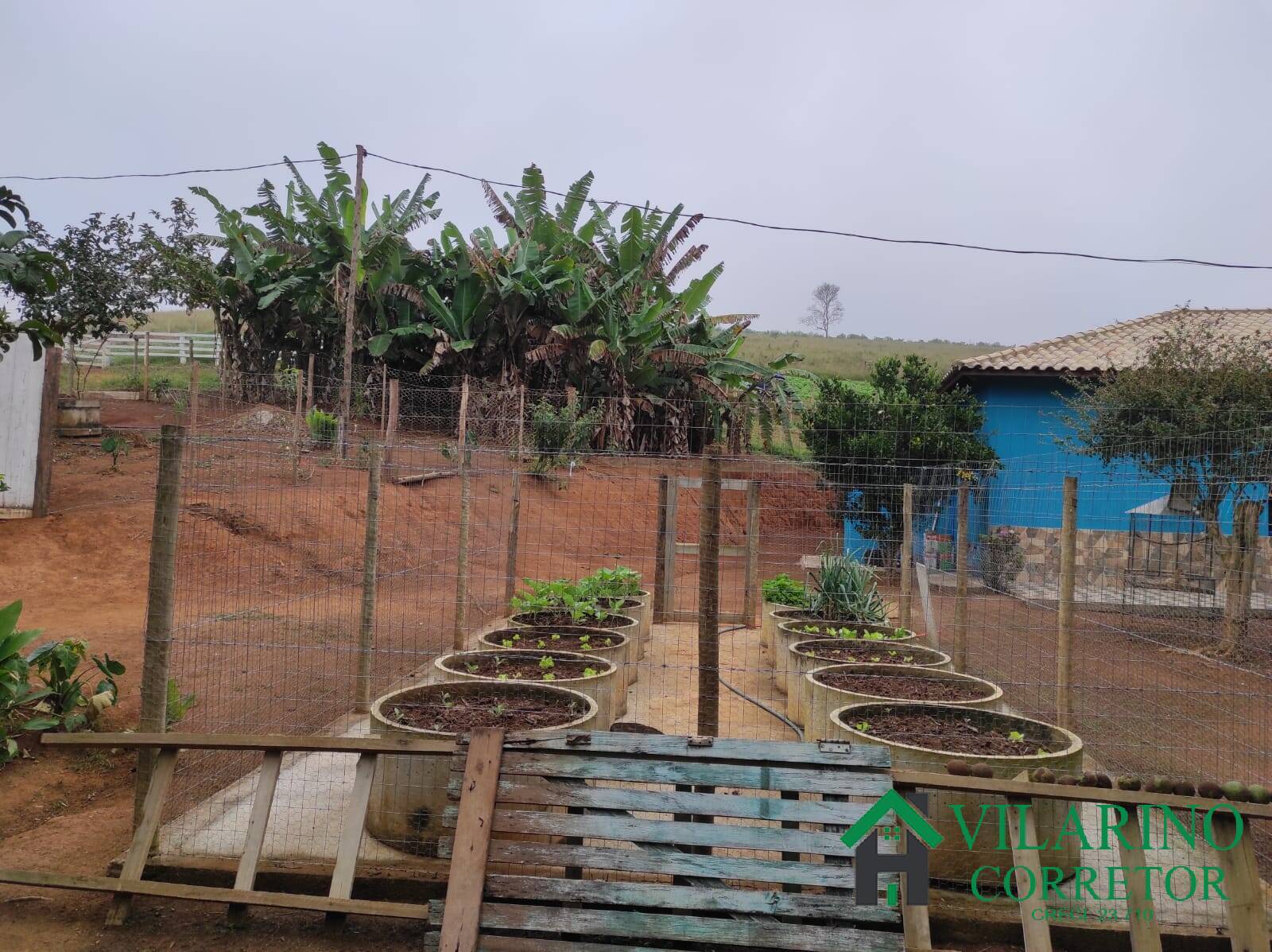 Fazenda à venda, 24m² - Foto 5