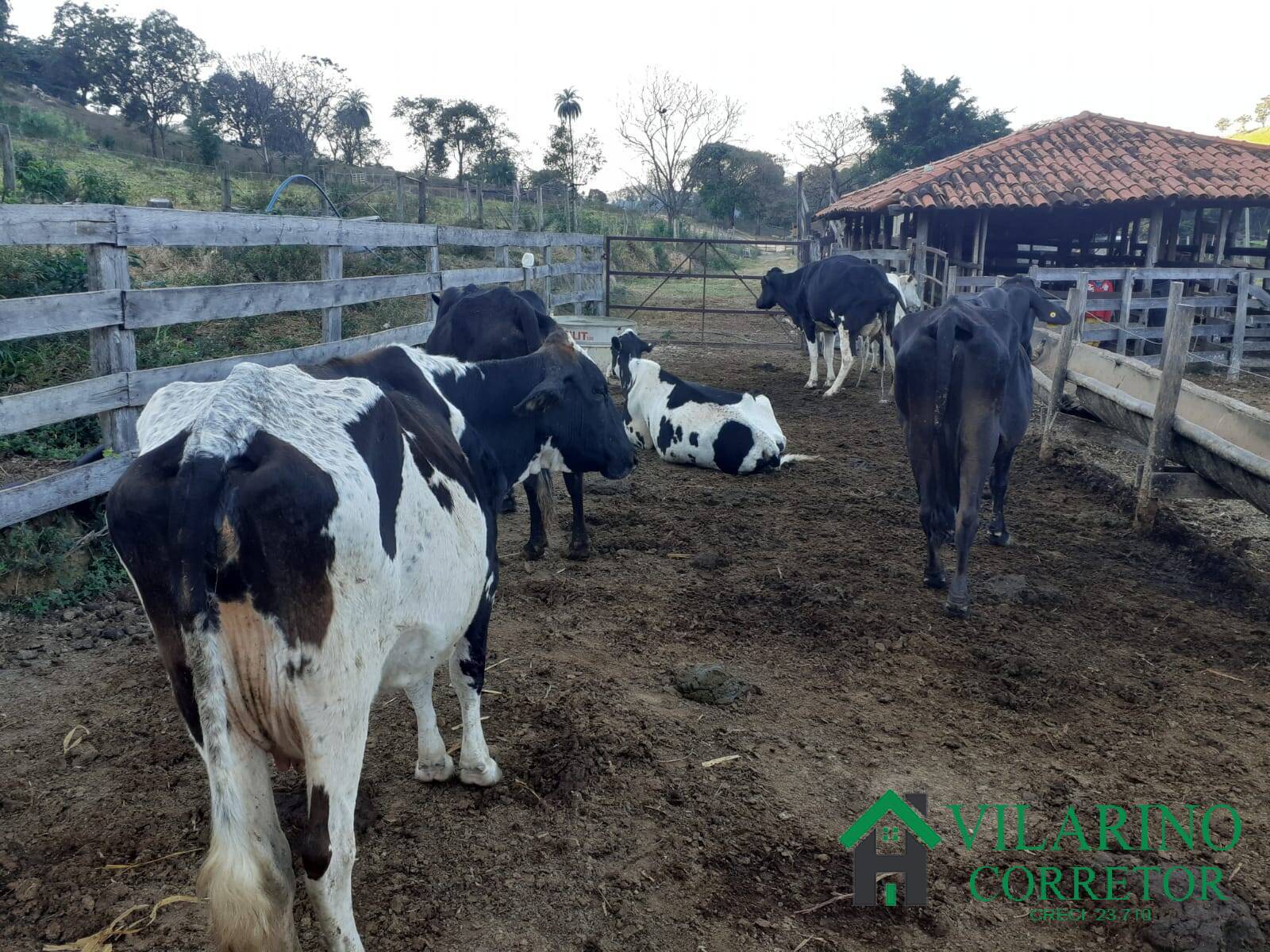 Fazenda à venda, 350000m² - Foto 28