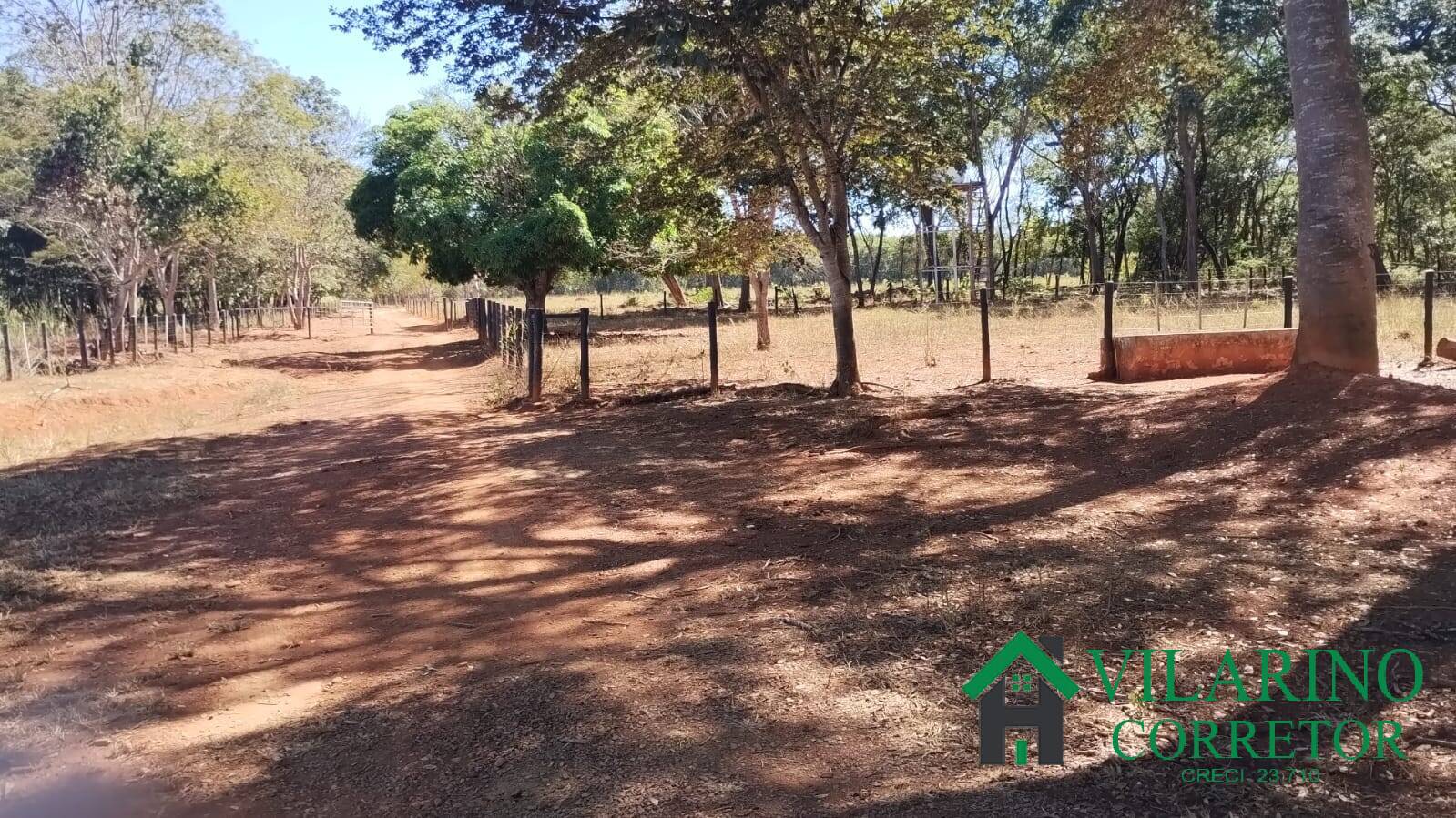 Fazenda à venda com 3 quartos, 800m² - Foto 8