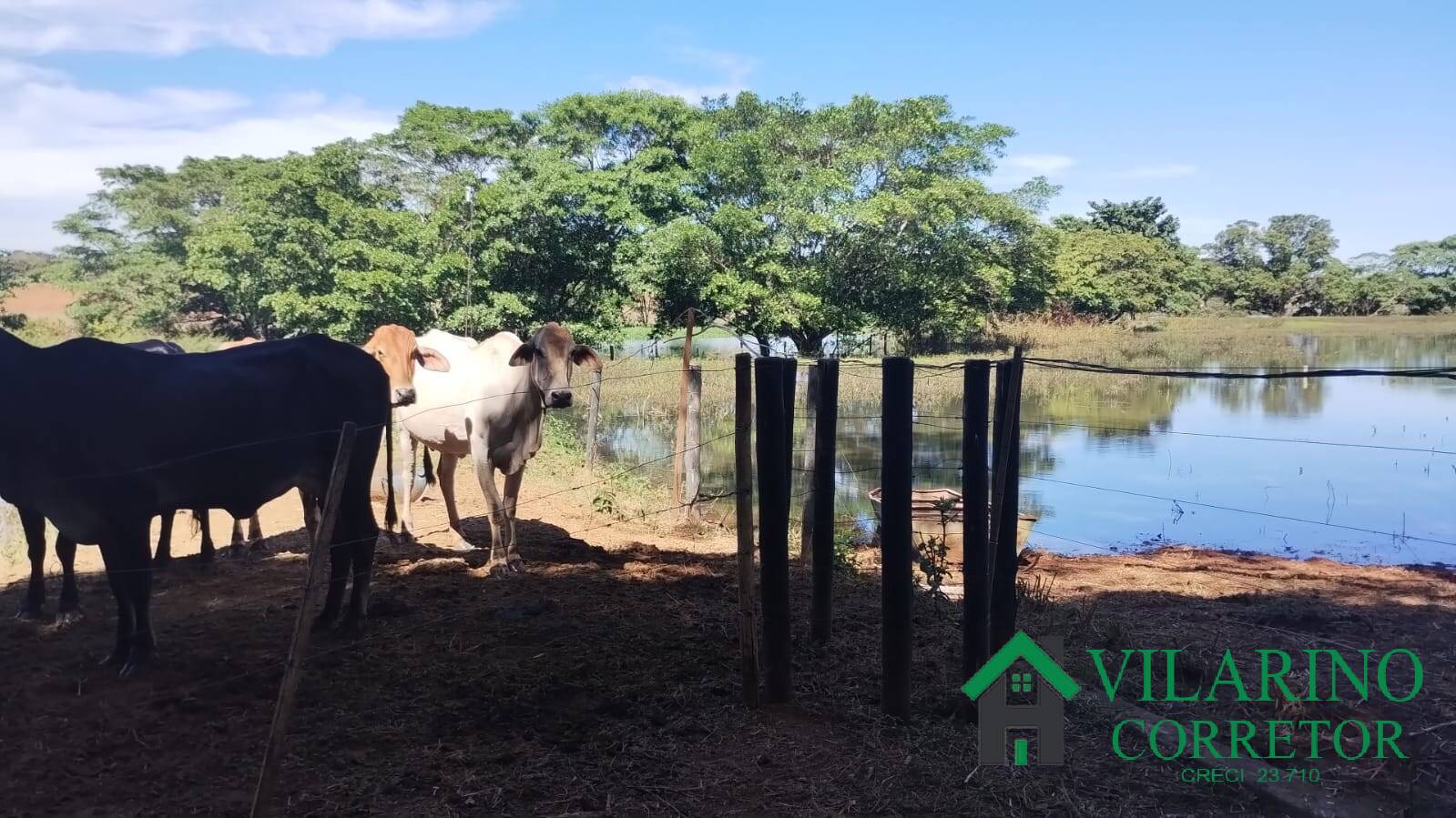 Fazenda à venda com 3 quartos, 800m² - Foto 10